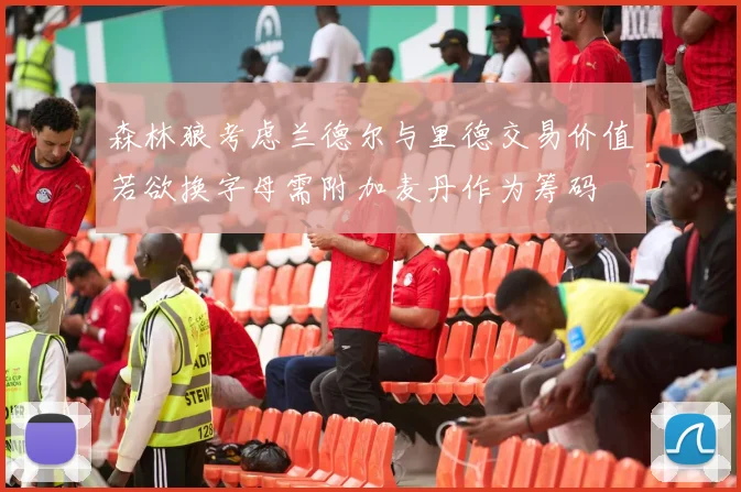 森林狼考虑兰德尔与里德交易价值若欲换字母需附加麦丹作为筹码